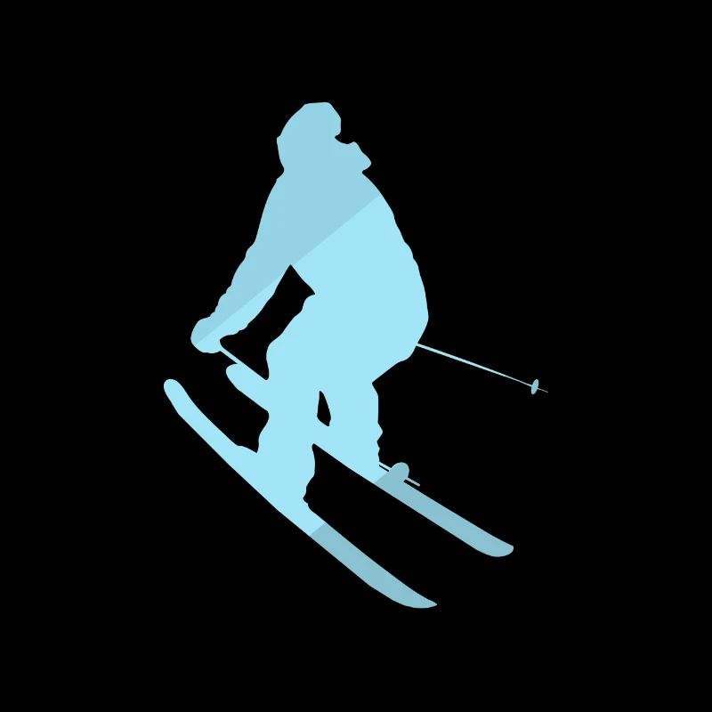 Ski Neige Skis