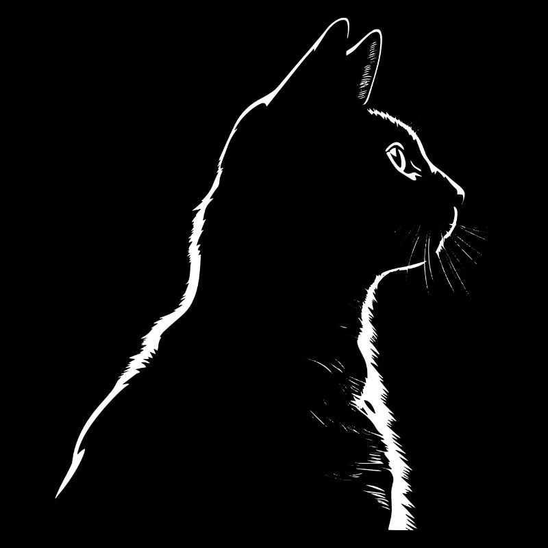 Chat, Motif De Chat
