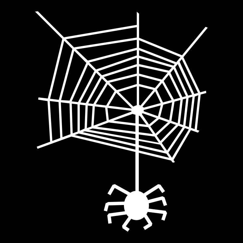Spider web spiderweb Spider
