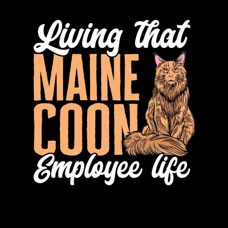 Maine Coon Chat