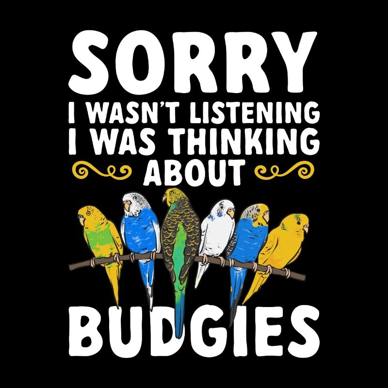 Budgerigar Parakeet Bird Pet Gift