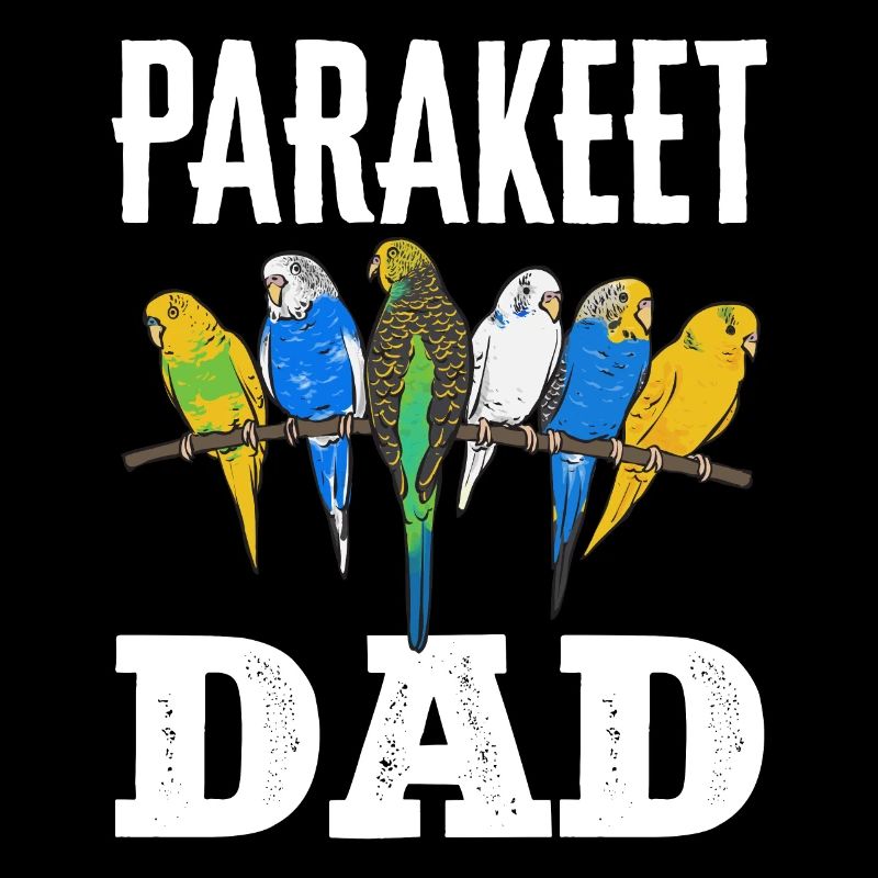 Budgerigar Parakeet Bird Pet Gift