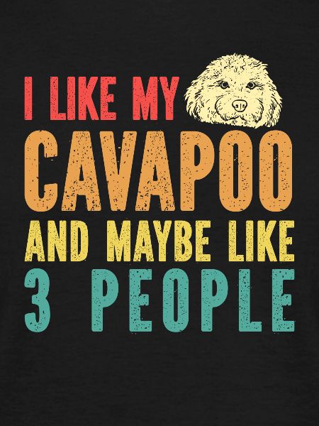 Cavapoo Cavoodle Capoodle Dog