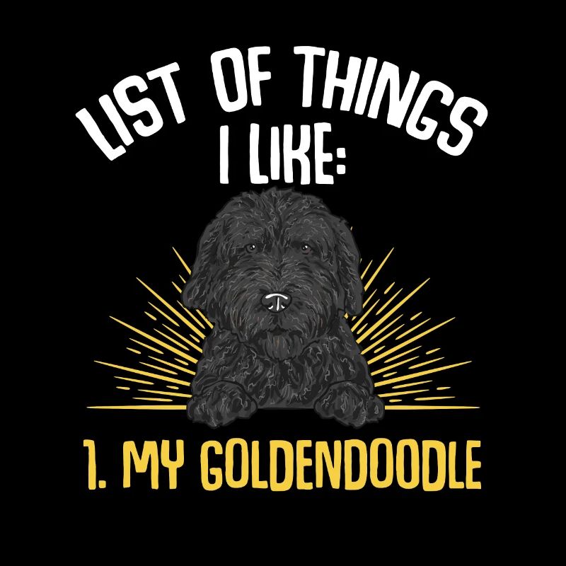 Chien Doodle Black Goldendoodle
