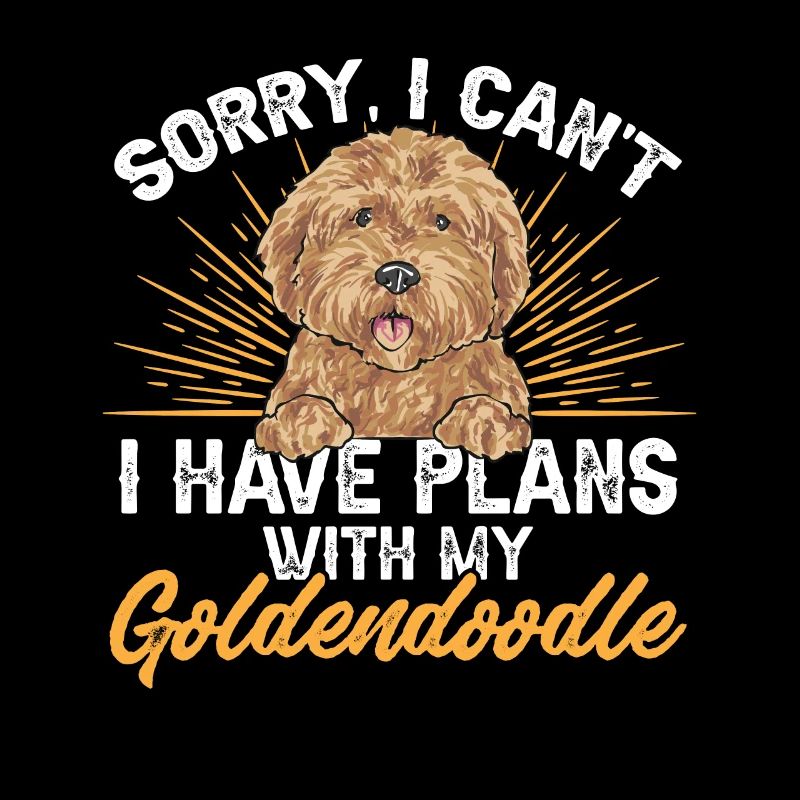 Goldendoodle Doodle Chien