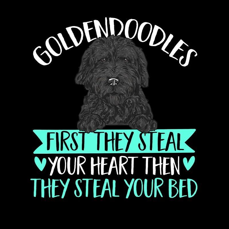 Chien Doodle Black Goldendoodle