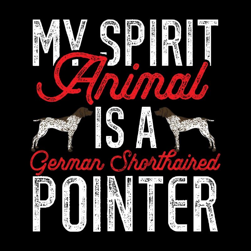 Deutsch Kurzhaar GSP Hund