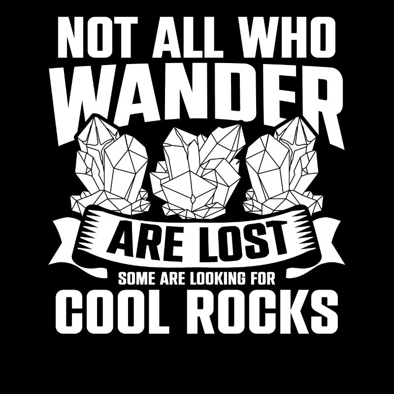 Not All Who Wander Are Lost Some Are Looking