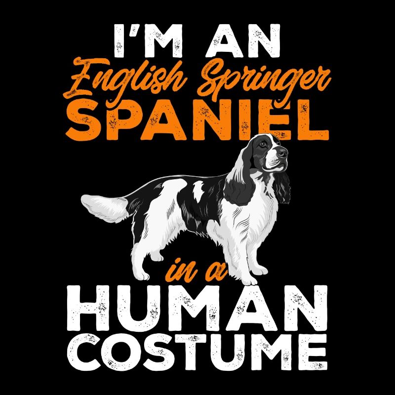 English Springer Spaniel Dog