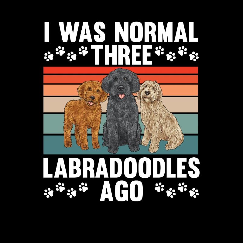 Labradoodle Dog