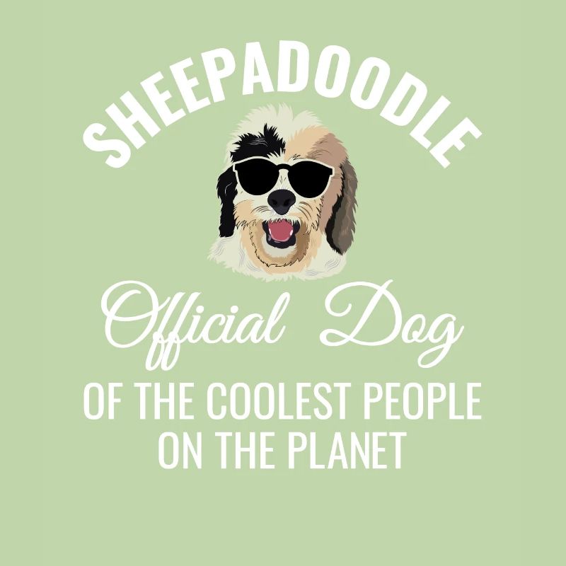 Sheepadoodle Doodle Dog