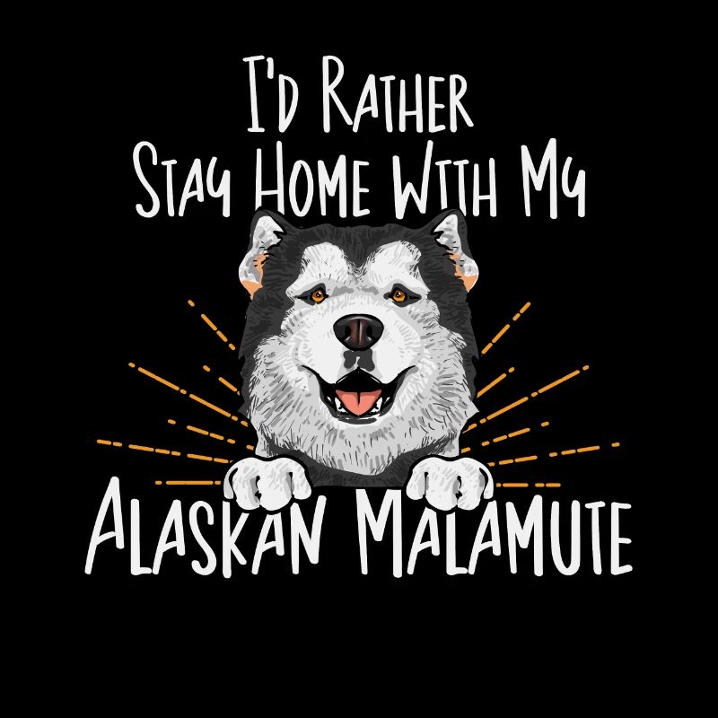 Alaskan Malamute Dog