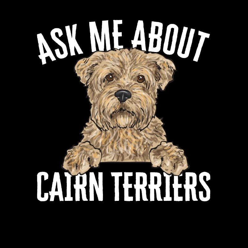 Cairn Terrier Dog