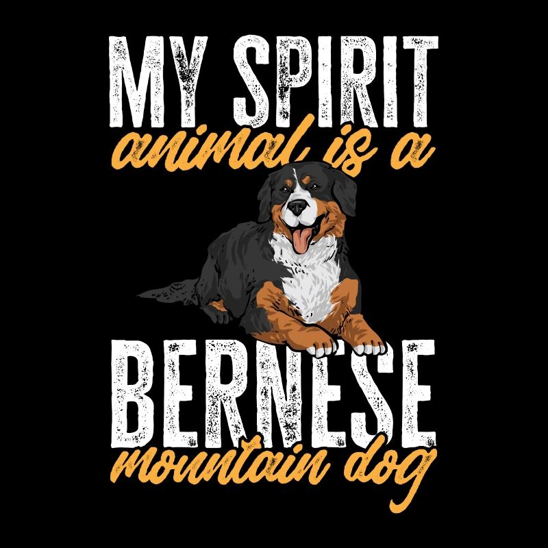 Bouvier bernois