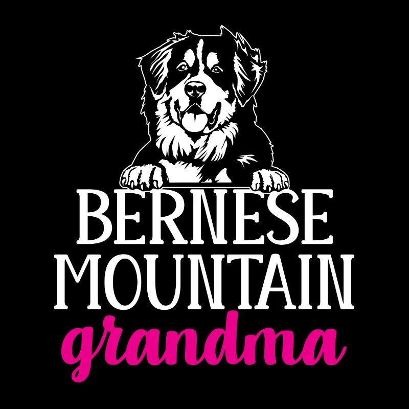 Bouvier bernois