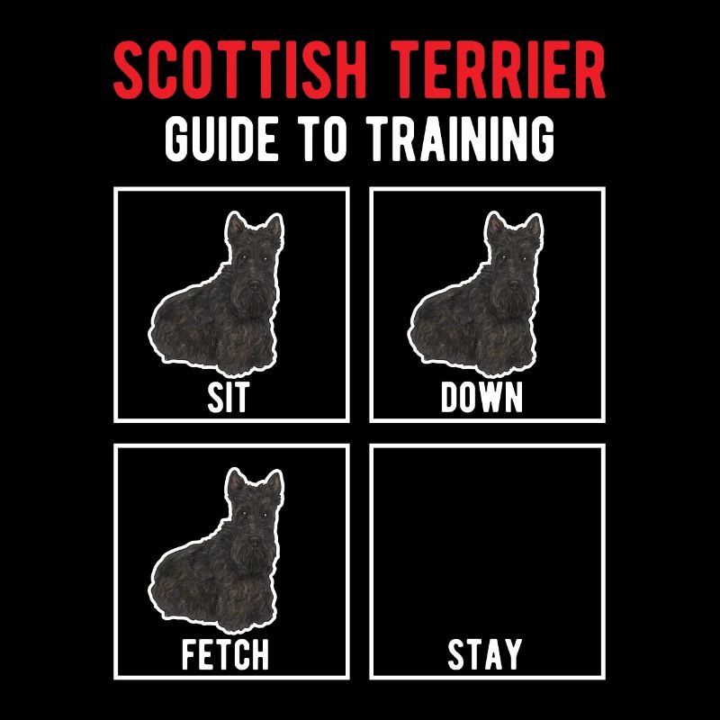 Terrier écossais Scottie Chien