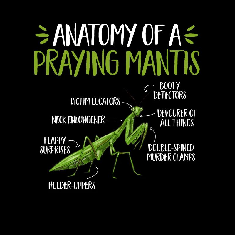 Praying mantis, insect collector, entomologist