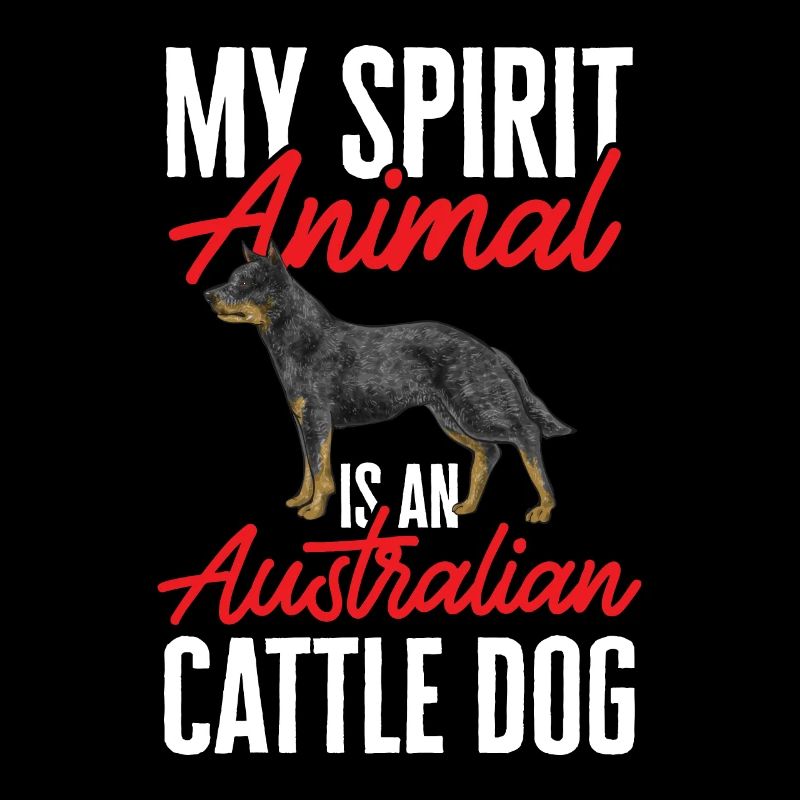 Australian Cattle Dog Red Blue Heeler