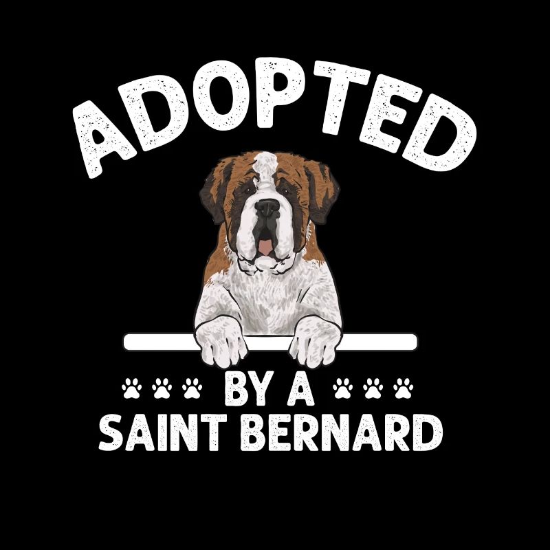 Saint-Bernard Chien Saint-Bernard