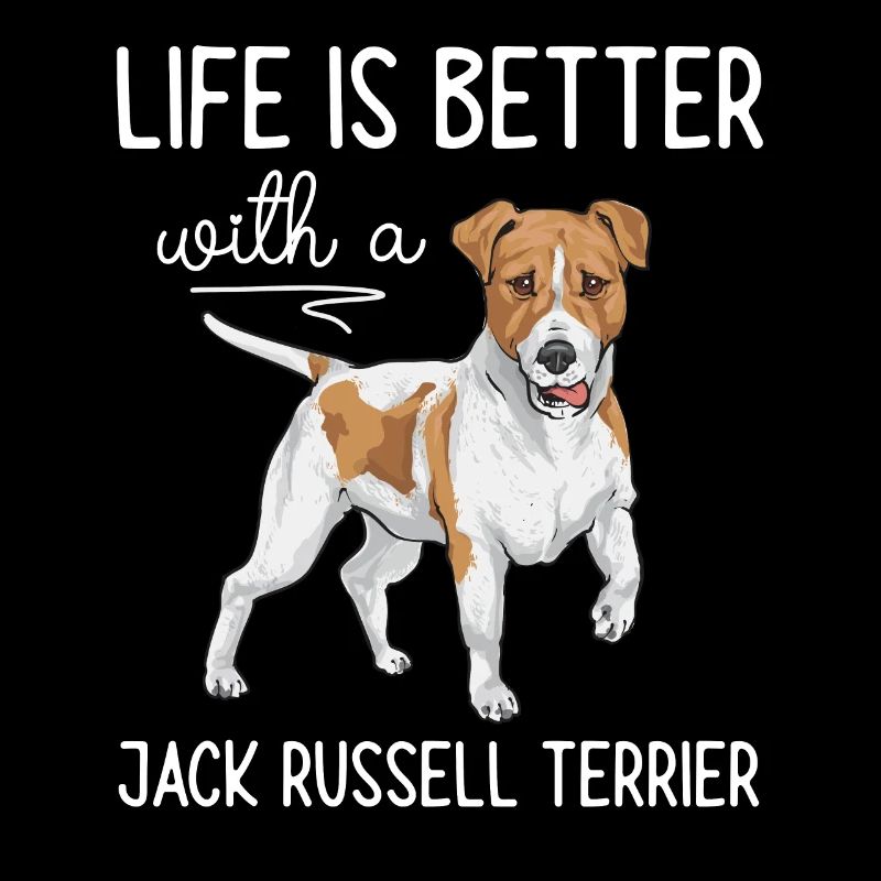 Jack Russell Terrier