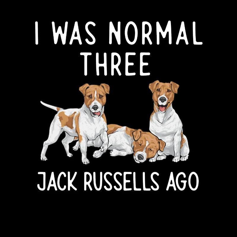 Jack Russell Terrier