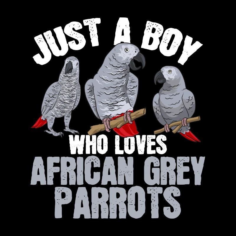 Graupapagei African Grey Parrot Papagei