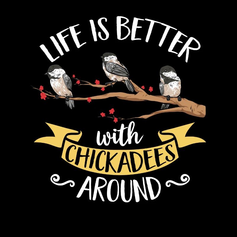 Bird Chickadee Bird Watching