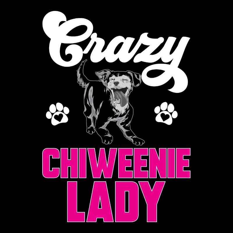 Chiweenie Dog