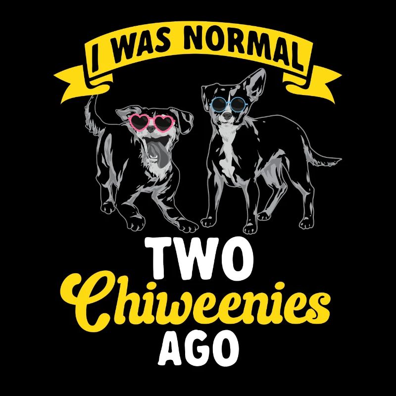 Chiweenie Dog