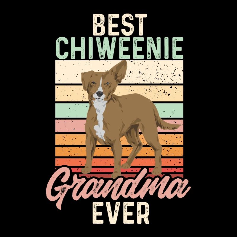 Chiweenie Dog
