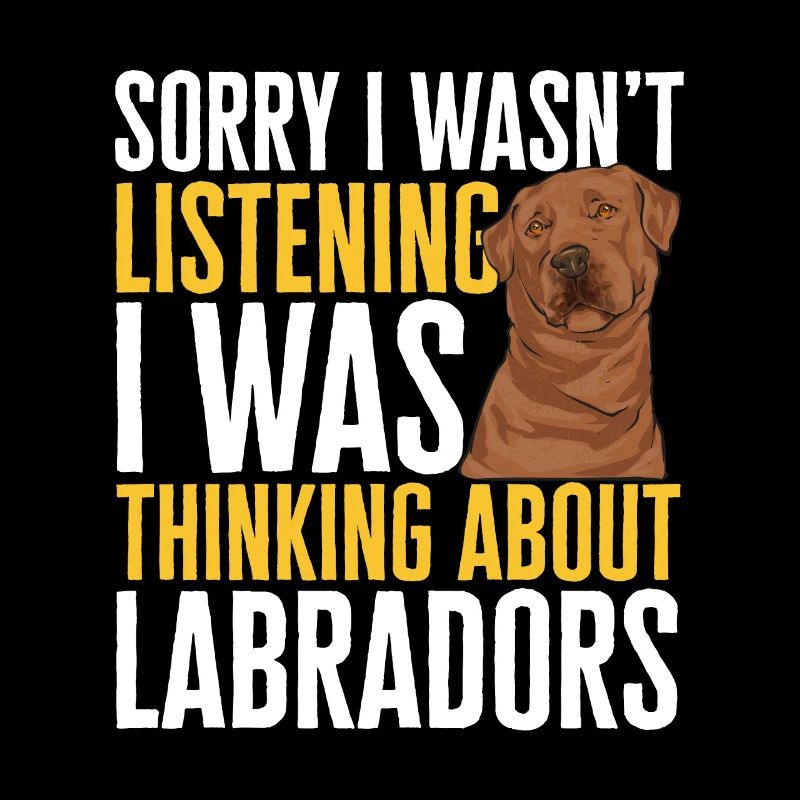Foxred Labrador Fox Red Labrador Retriever