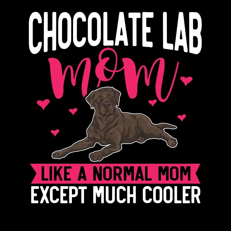 Chien Labrador Retriever chocolat