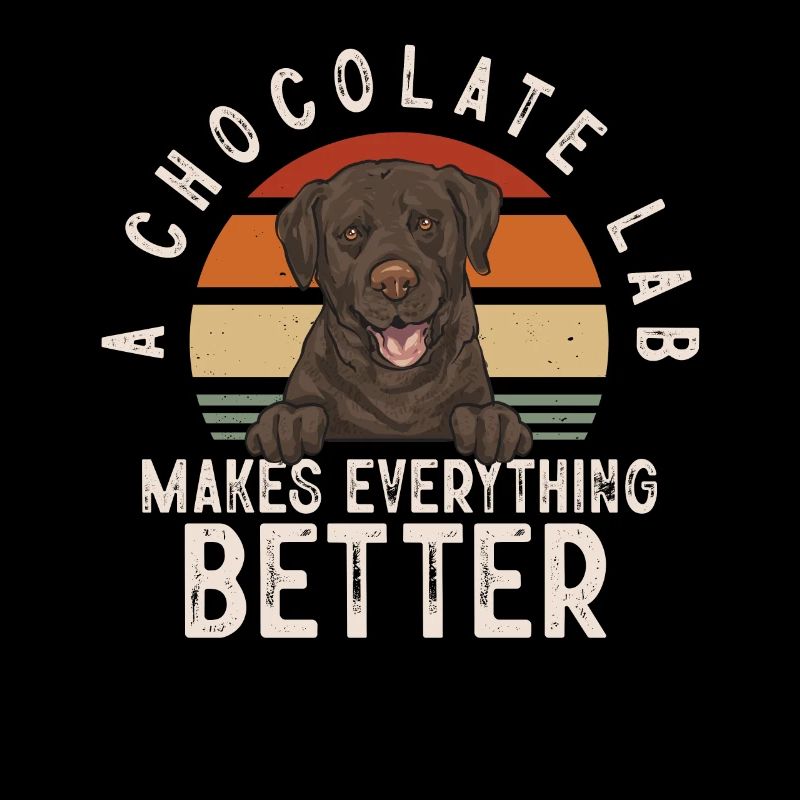 Chien Labrador Retriever chocolat