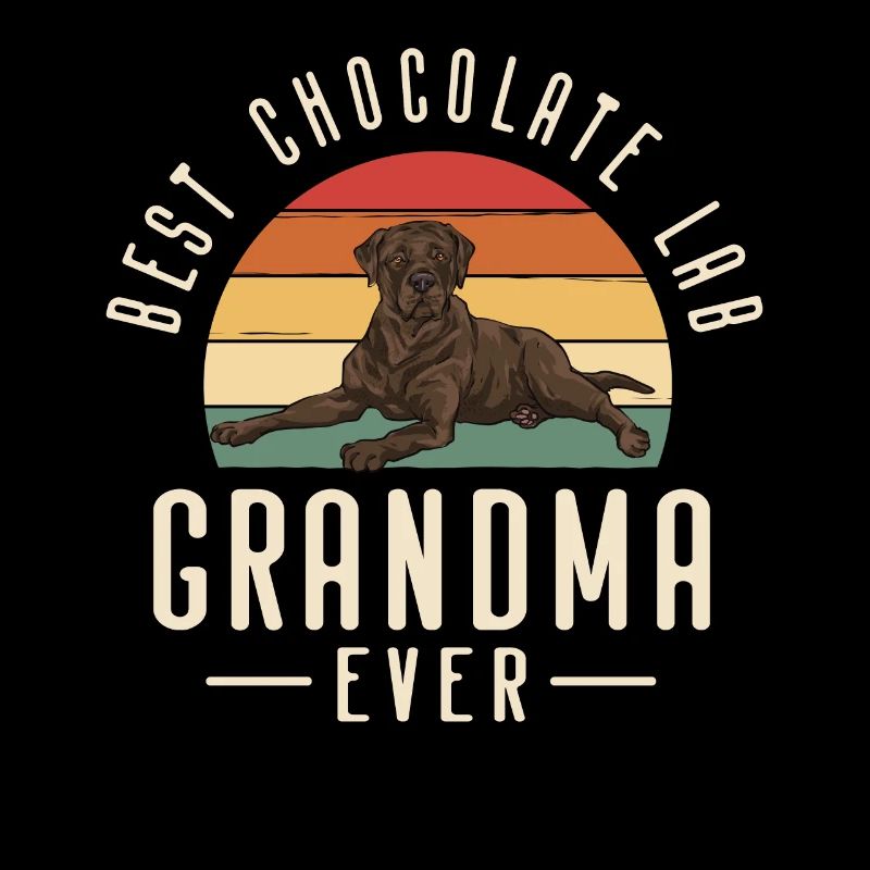 Chien Labrador Retriever chocolat