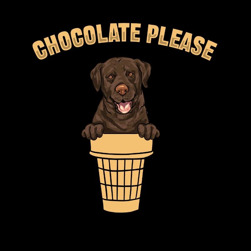 Chien Labrador Retriever chocolat