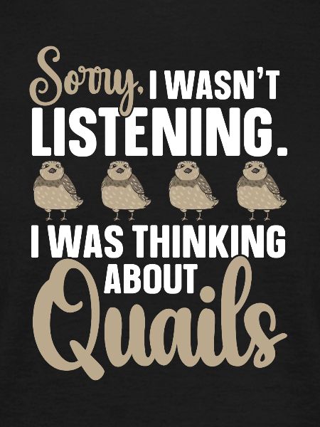 Quail Bird