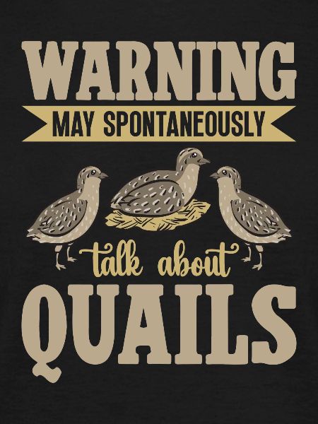 Quail Bird