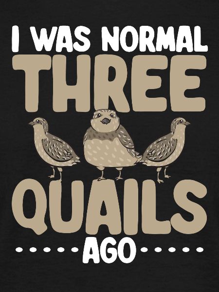 Quail Bird