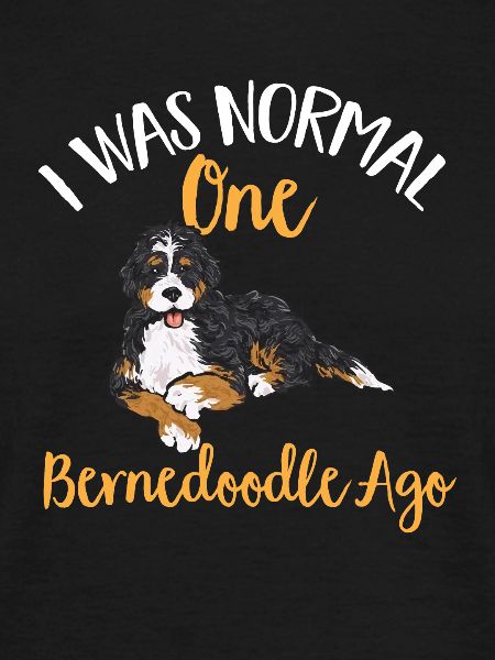Chien Bernedoodle