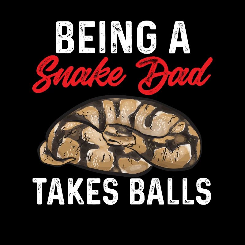 Ball Python Schlange Königspython