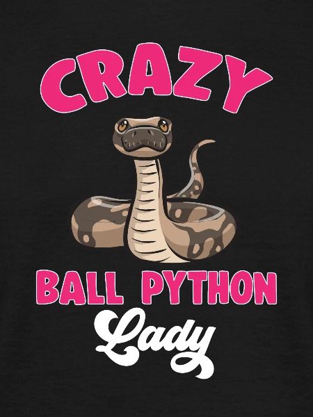 Ball Python Schlange Königspython
