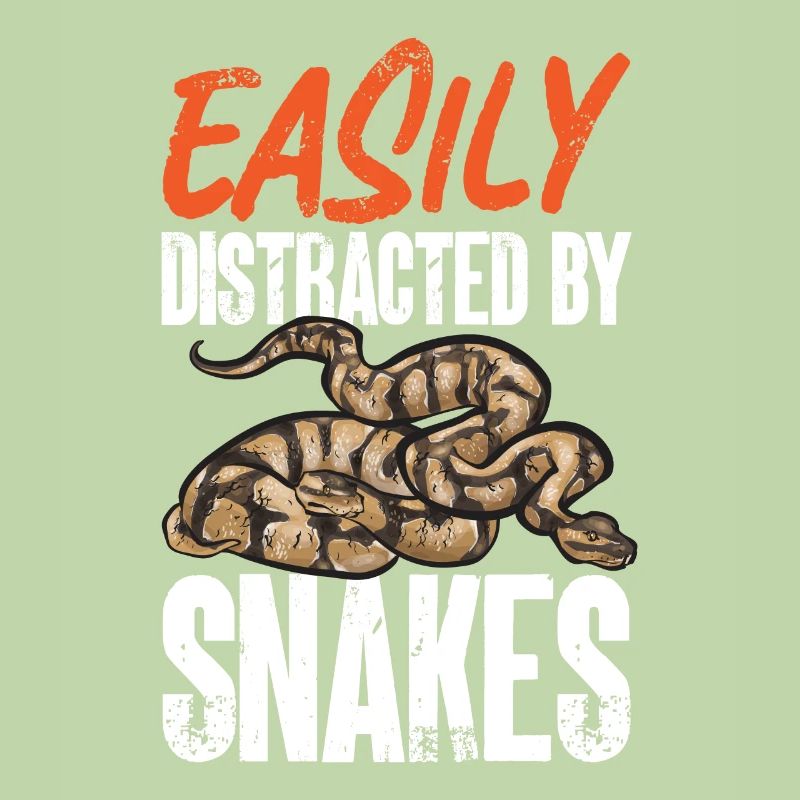 Ball Python Snake King Python