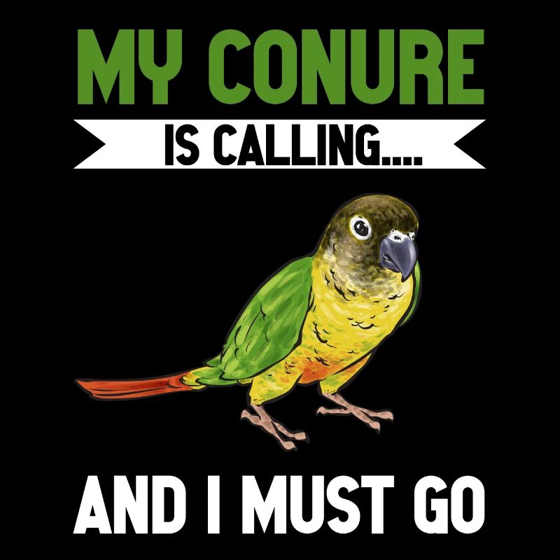 Molina Perruche Perroquet Perruche Oiseau Perruche