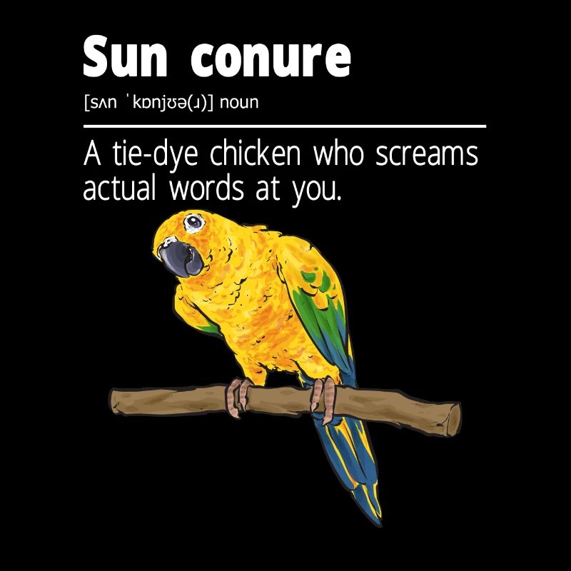 Parakeet Parrot Parakeet Bird