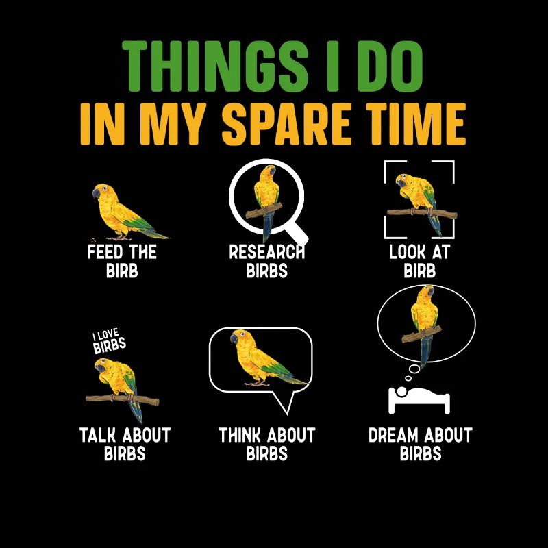 Parakeet Parrot Parakeet Bird