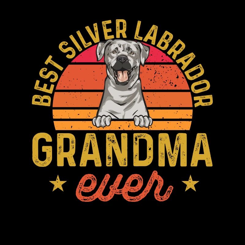 Silver Labrador Retriever Silver Lab