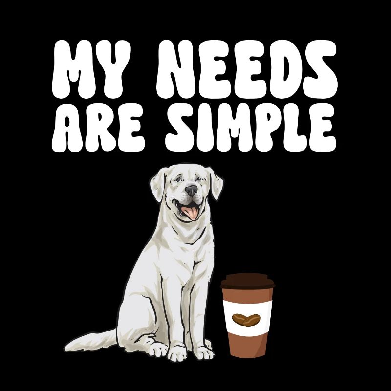 Labrador Retriever blanc Labrador Labrador blanc