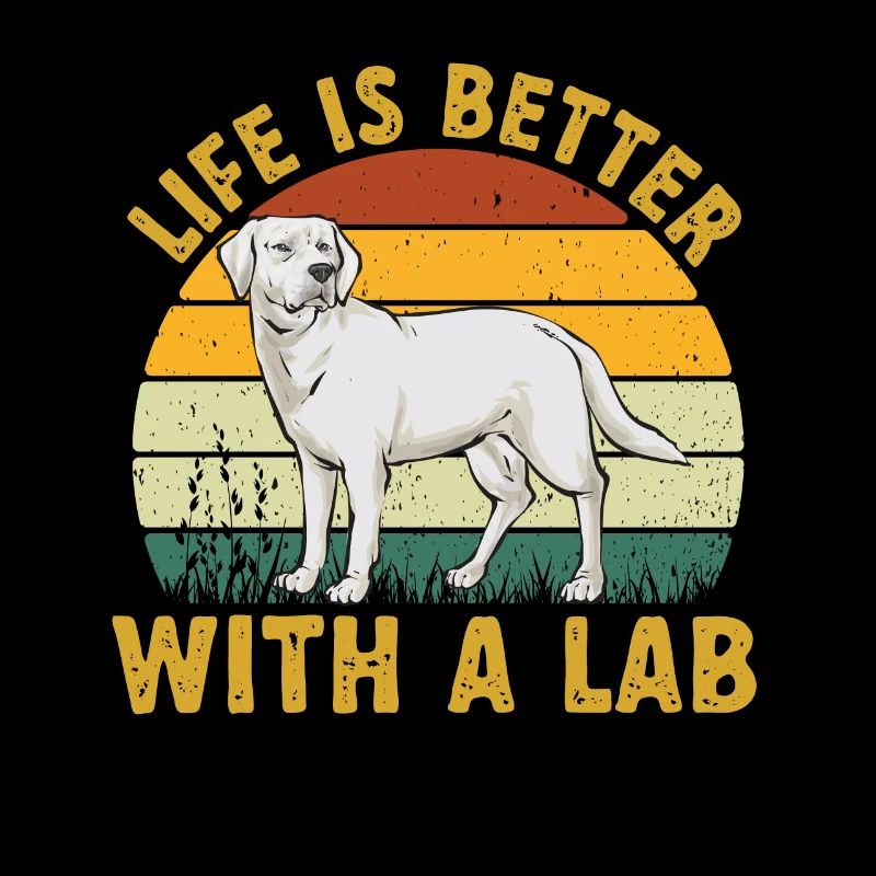 Labrador Retriever blanc Labrador Labrador blanc