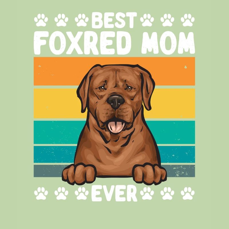 Fuchsroter Labrador Retriever Fox Red Labrador