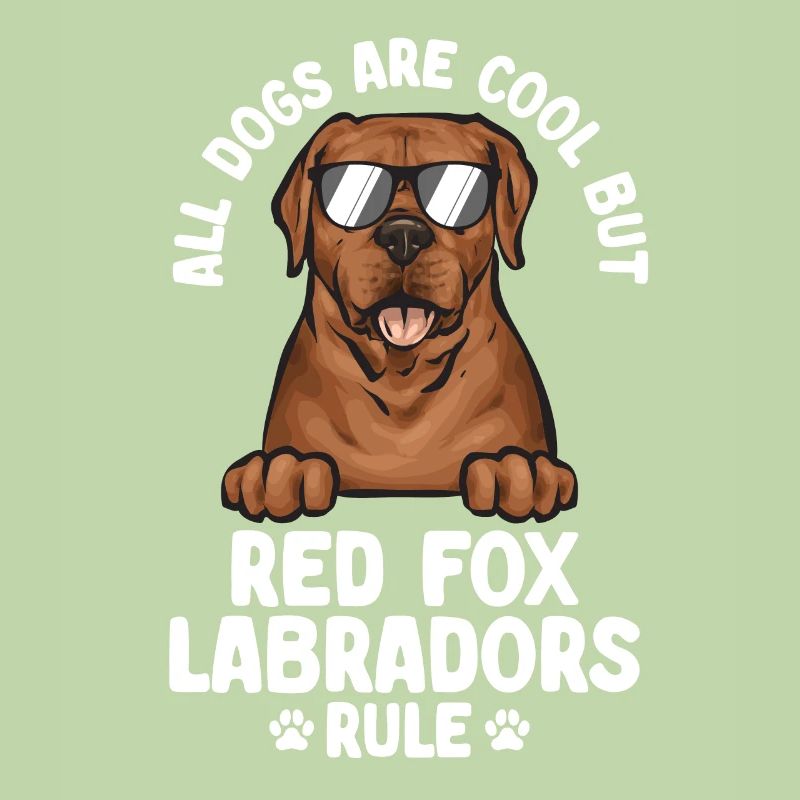 Fuchsroter Labrador Retriever Fox Red Labrador